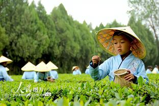 开云官网进不去怎么回事